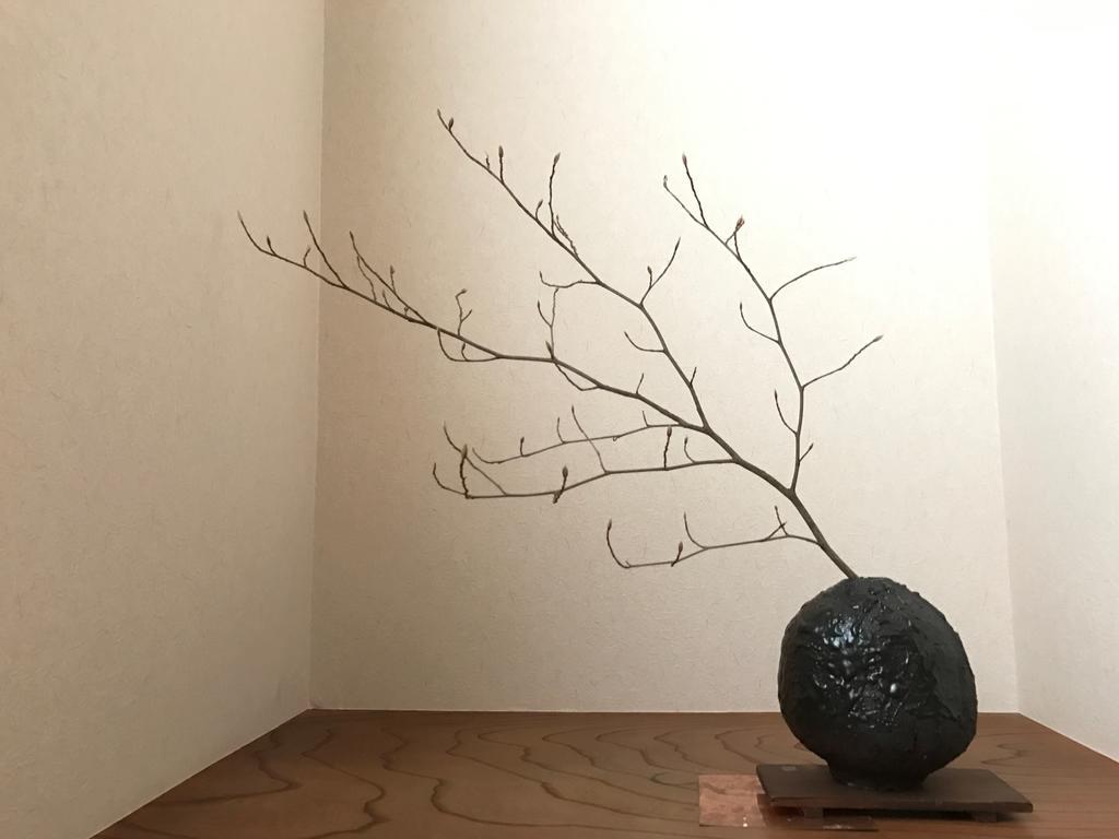 사야마 에스테틱 스쿨 호텔 Osakasayama 외부 사진
